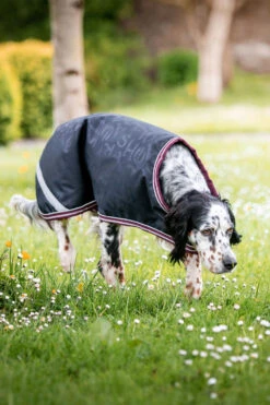 Horseware Amigo Ripstop Hundemantel, 100g -Cavallo Verkäufe 335984 DB BU 1