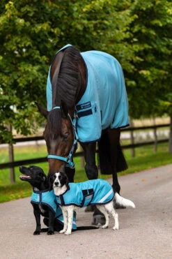 Horseware Amigo Ripstop Hundemantel, 100g -Cavallo Verkäufe 335984 DLPB DB 2