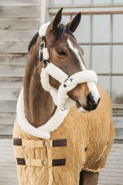 Kentucky Horsewear Velvet Pony Turnierdecke, 160g -Cavallo Verkäufe 336616 MGO 2
