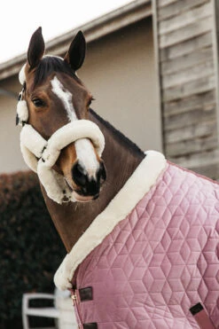 Kentucky Horsewear Velvet Pony Turnierdecke, 160g -Cavallo Verkäufe 336616 RRPI 3