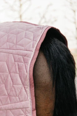 Kentucky Horsewear Velvet Pony Turnierdecke, 160g -Cavallo Verkäufe 336616 RRPI 6