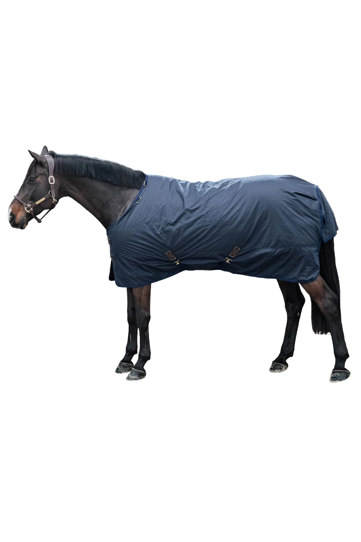 Kentucky Horsewear All Weather Hurricane Weidedecke, 0g 2 Kentucky Horsewear All Weather Hurricane Weidedecke, 0g – Bild 2