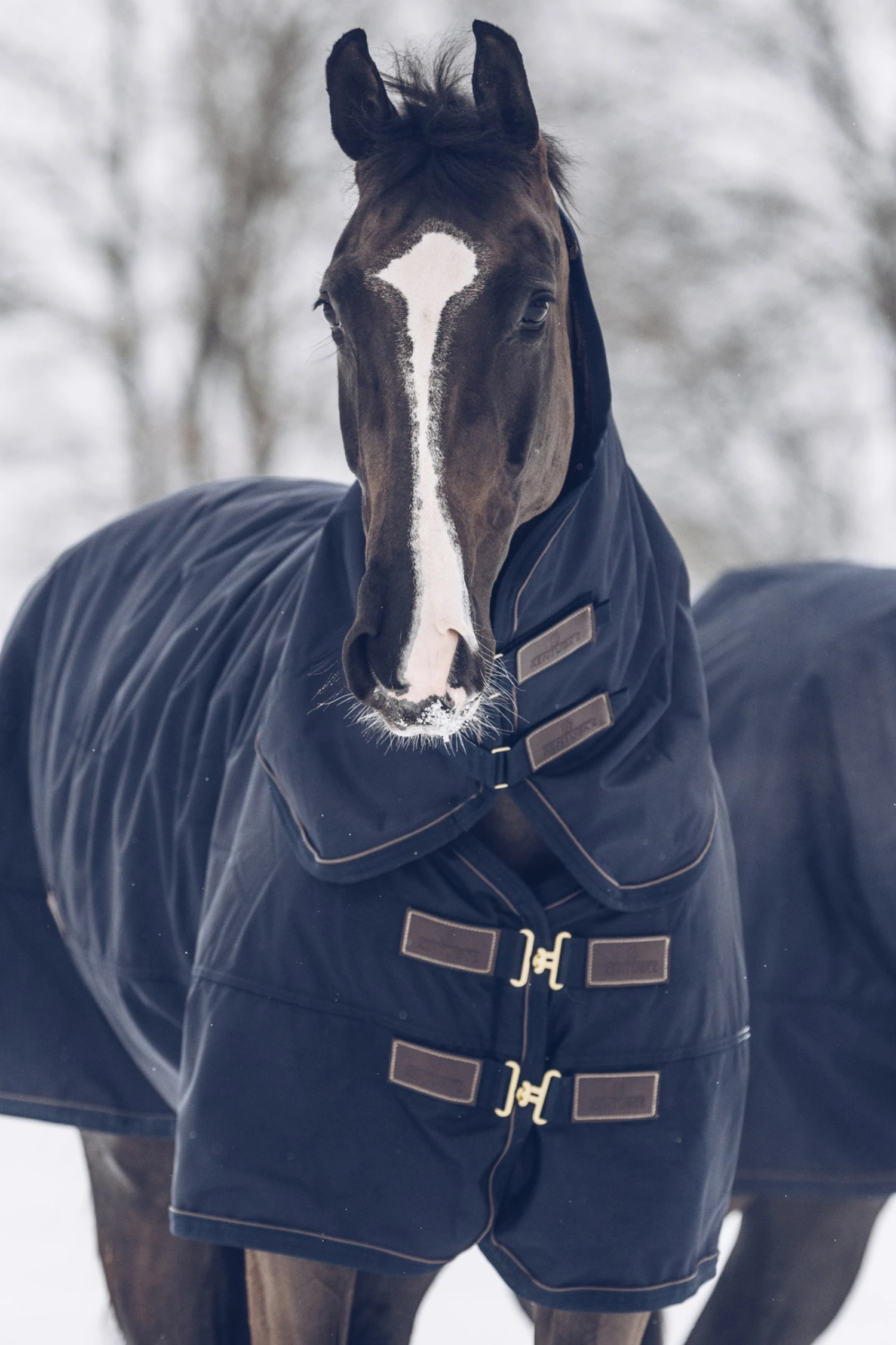 Kentucky Horsewear Tiny All Weather Weidedecke, 300g 1 Kentucky Horsewear Tiny All Weather Weidedecke, 300g