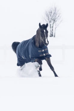 Kentucky Horsewear Tiny All Weather Weidedecke, 300g 9 Kentucky Horsewear Tiny All Weather Weidedecke, 300g -Cavallo Verkäufe 336887 DB 4