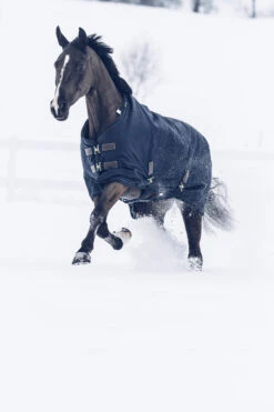 Kentucky Horsewear Tiny All Weather Weidedecke, 300g 10 Kentucky Horsewear Tiny All Weather Weidedecke, 300g -Cavallo Verkäufe 336887 DB 5