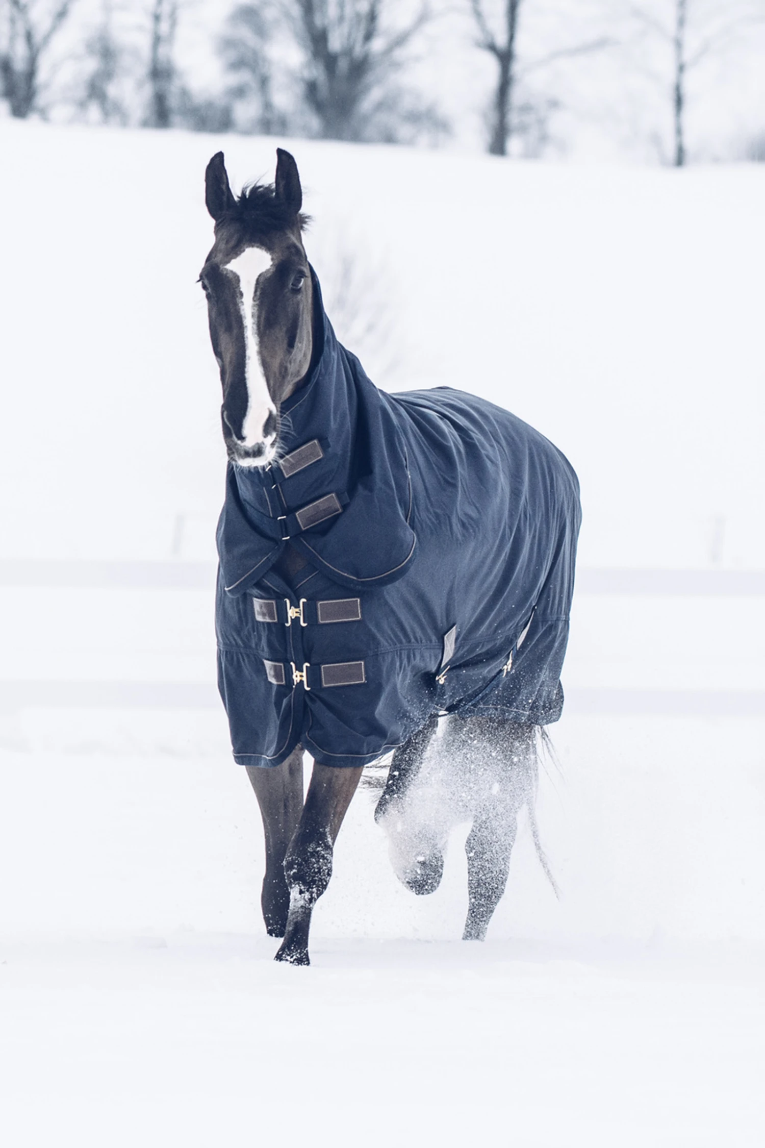 Kentucky Horsewear Tiny All Weather Weidedecke, 300g 6 Kentucky Horsewear Tiny All Weather Weidedecke, 300g – Bild 6