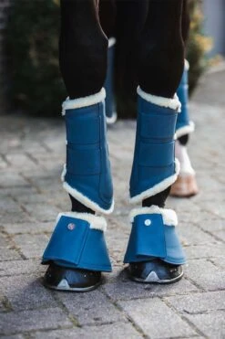 Cavallo Verkäufe -Cavallo Verkäufe 336950 B 2