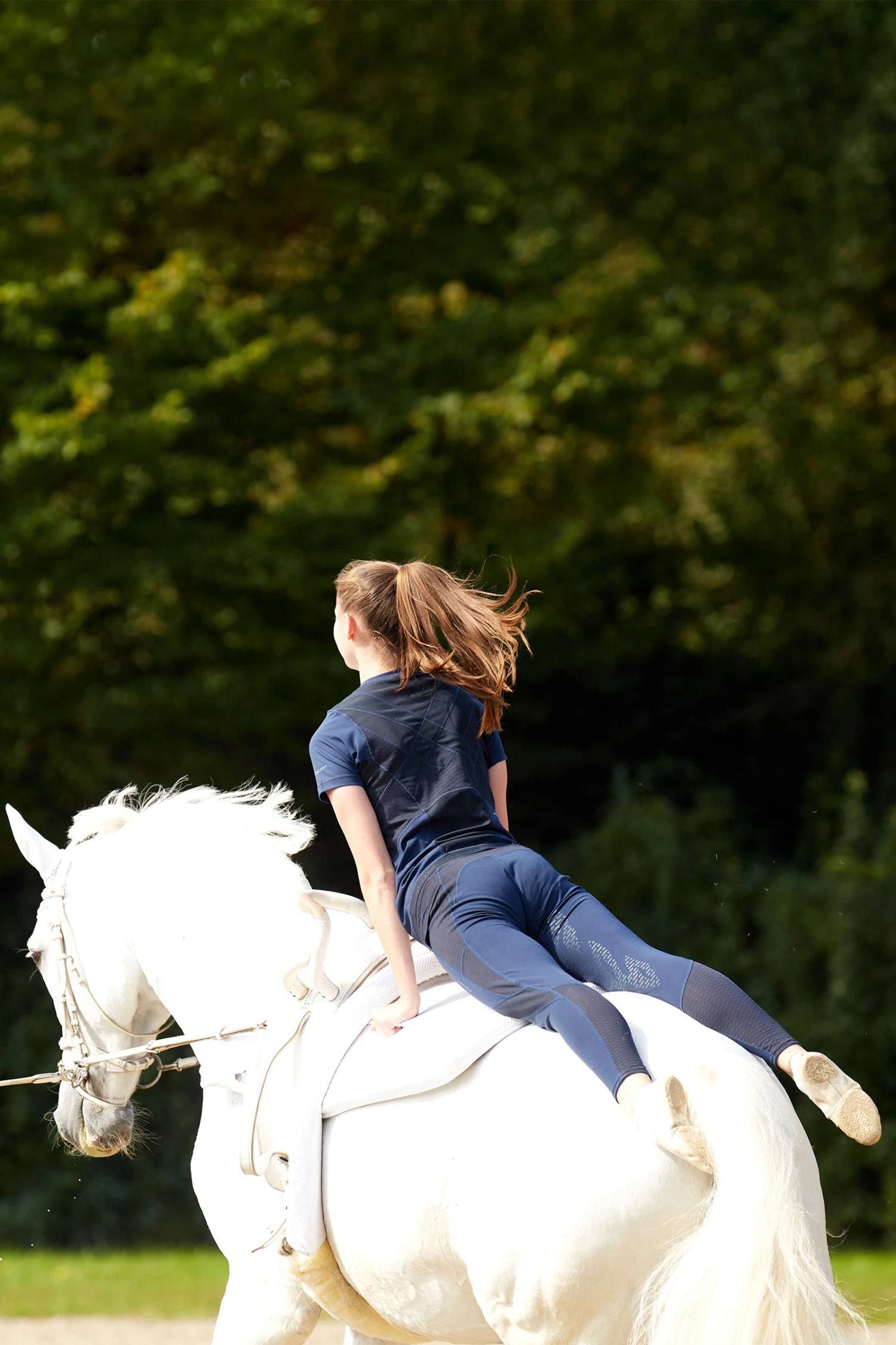 Ariat Ascent Damen Reitleggings Mit Kniegrip 14 Ariat Ascent Damen Reitleggings Mit Kniegrip – Bild 14