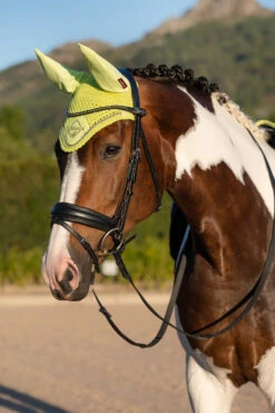 LeMieux Classic Fliegenohren -Cavallo Verkäufe 338077 SLGR 02