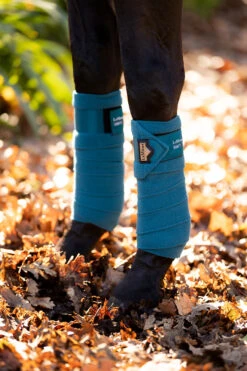 LeMieux Loire Satin Bandagen -Cavallo Verkäufe 338080 MB 3