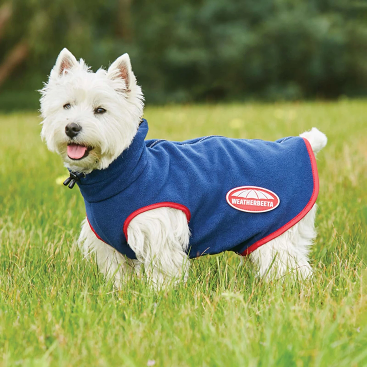 Weatherbeeta Comfitec Fleece Zip Hundemantel 1 Weatherbeeta Comfitec Fleece Zip Hundemantel