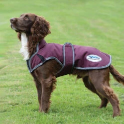 Weatherbeeta Comfitec Premier Free Parka Deluxe Hundemantel, 220g 7 Weatherbeeta Comfitec Premier Free Parka Deluxe Hundemantel, 220g -Cavallo Verkäufe 338278 DRE G 1