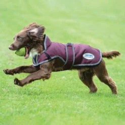 Weatherbeeta Comfitec Premier Free Parka Deluxe Hundemantel, 220g 8 Weatherbeeta Comfitec Premier Free Parka Deluxe Hundemantel, 220g -Cavallo Verkäufe 338278 DRE G 2