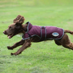 Weatherbeeta Comfitec Premier Free Parka Deluxe Hundemantel, 220g 9 Weatherbeeta Comfitec Premier Free Parka Deluxe Hundemantel, 220g -Cavallo Verkäufe 338278 DRE G 3