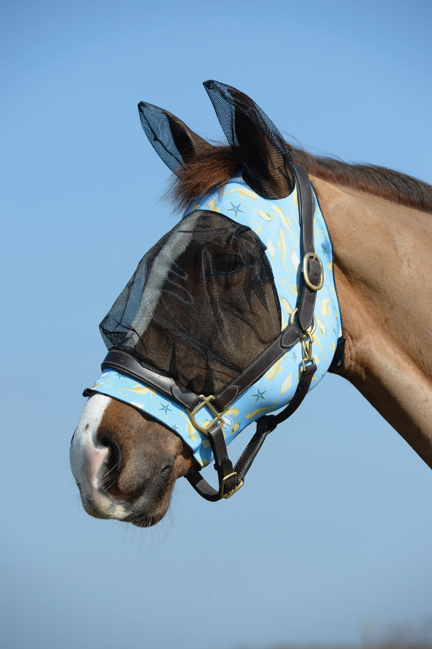 Weatherbeeta Deluxe Stretch Fliegenmaske Mit Ohren 9 Weatherbeeta Deluxe Stretch Fliegenmaske Mit Ohren – Bild 9