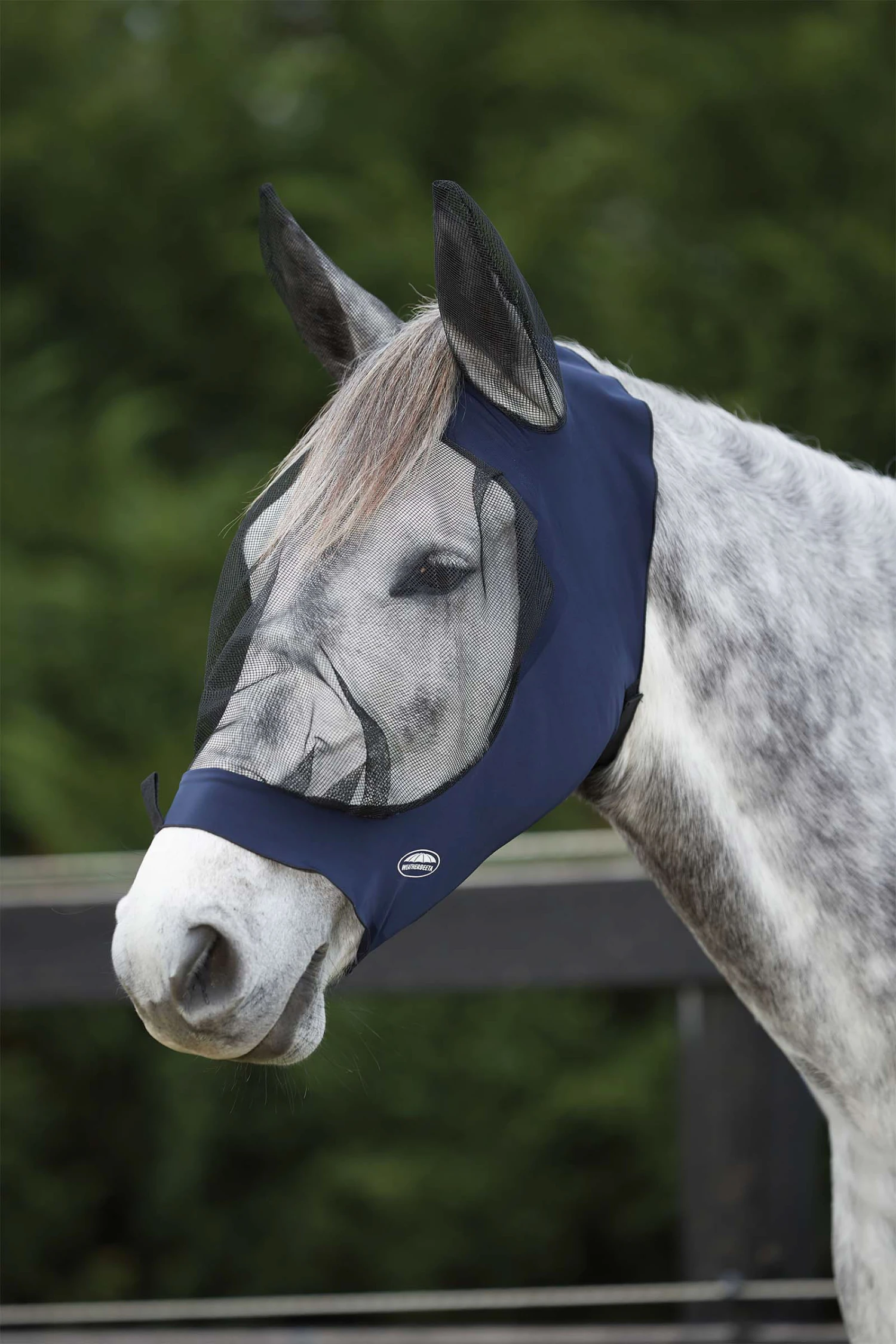 Weatherbeeta Deluxe Stretch Fliegenmaske Mit Ohren 2 Weatherbeeta Deluxe Stretch Fliegenmaske Mit Ohren – Bild 2