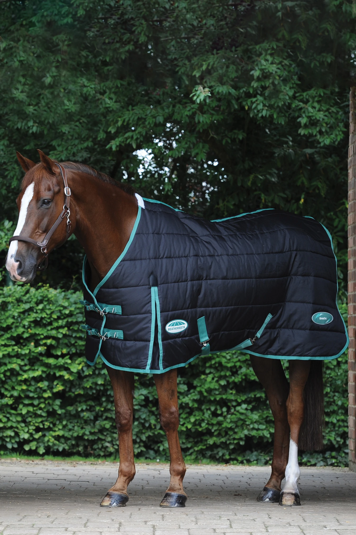 Weatherbeeta Green-Tec Stalldecke, 150g 2 Weatherbeeta Green-Tec Stalldecke, 150g – Bild 2