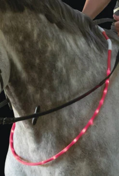 USG LED Leuchthalsring -Cavallo Verkäufe 338603 PI 2