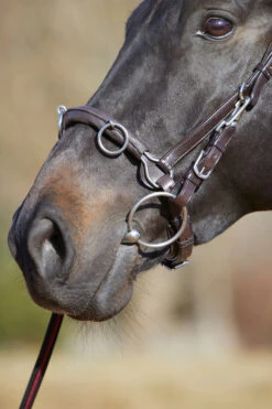 Kieffer Ultrasoft® Kappzaum -Cavallo Verkäufe 339377 BR 03