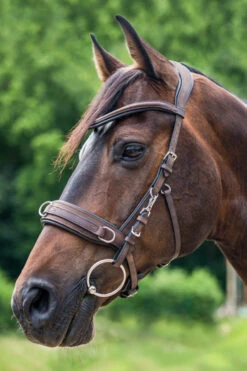 Waldhausen Anatomic Lederkappzaum -Cavallo Verkäufe 339874 BR 2