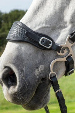 F.R.A. Barco Hackamore Anzüge, 150mm -Cavallo Verkäufe 340188 SS 2