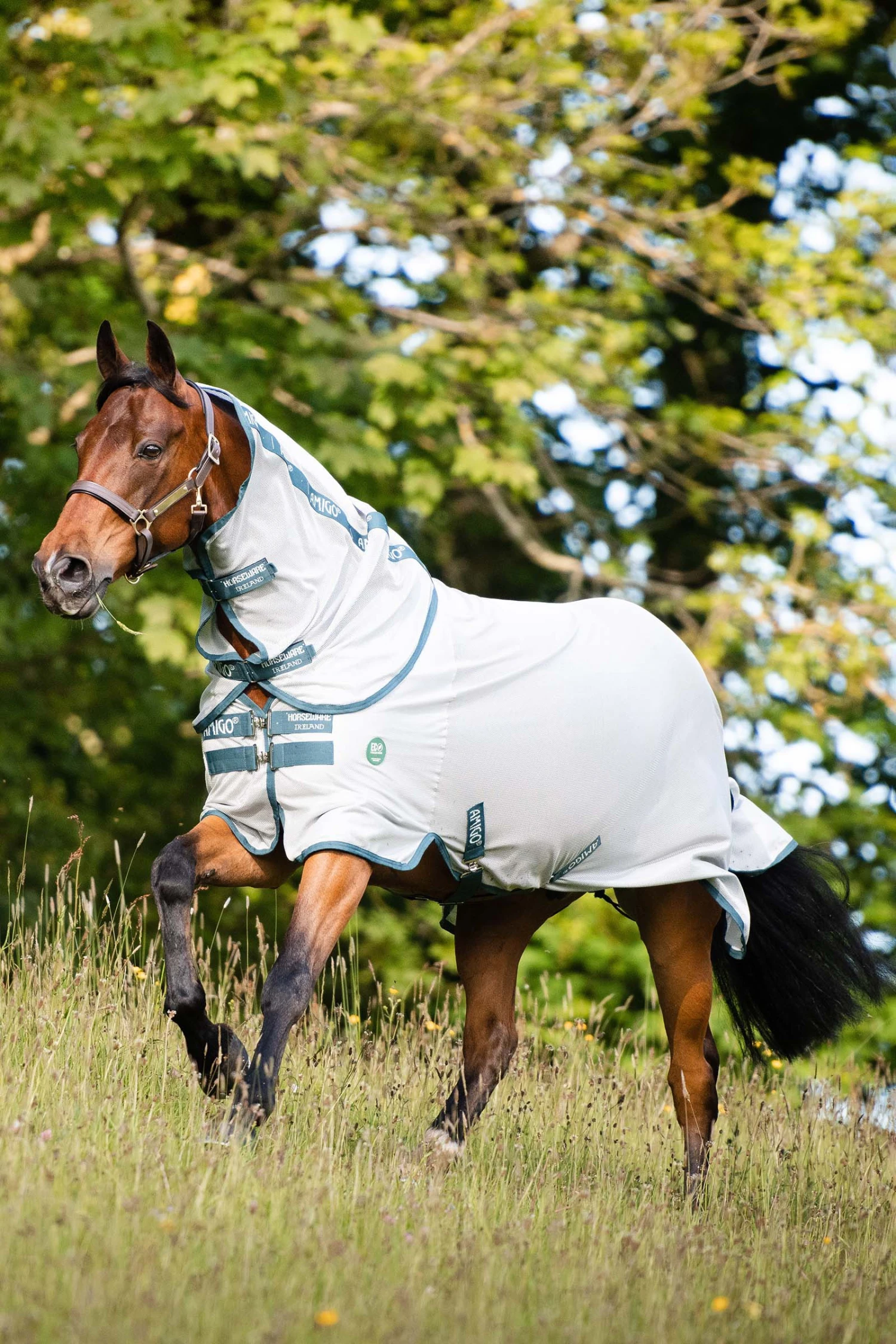 Horseware AmEco Bug Rug Fliegendecke 1 Horseware AmEco Bug Rug Fliegendecke
