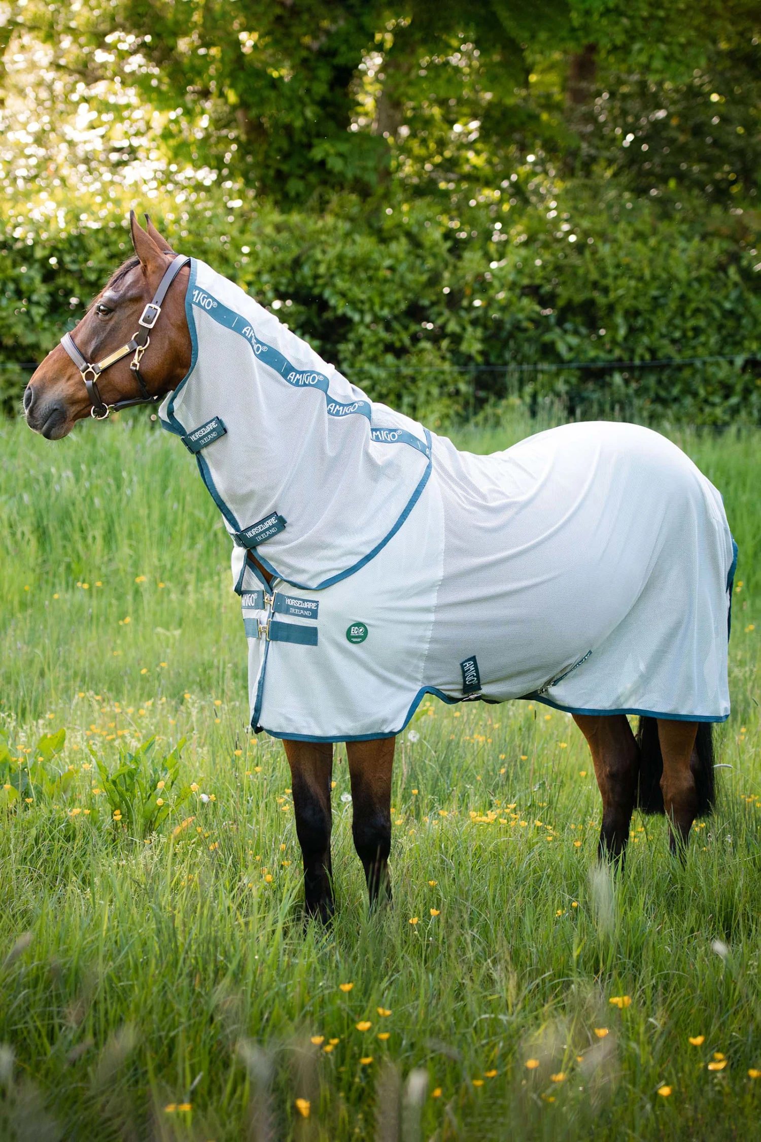 Horseware AmEco Bug Rug Fliegendecke 2 Horseware AmEco Bug Rug Fliegendecke – Bild 2