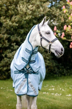 Horseware Amigo Plant Dye Weidedecke, 50g -Cavallo Verkäufe 340224 B DB 3