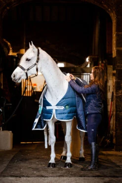 Horseware AmEco Liner, 100g -Cavallo Verkäufe 340947 TE G 3