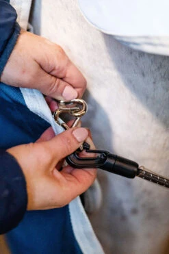 Horseware Eco Liner, 300g -Cavallo Verkäufe 340949 TE G 7