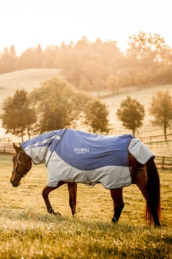Horseware Rambo Autumn Series -Cavallo Verkäufe 340954 DB G 3