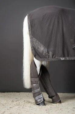 Eskadron Classic Sports FS22 Aerial Jersey Abschwitzdecke 8 Eskadron Classic Sports FS22 Aerial Jersey Abschwitzdecke -Cavallo Verkäufe 341070 FSBR 3