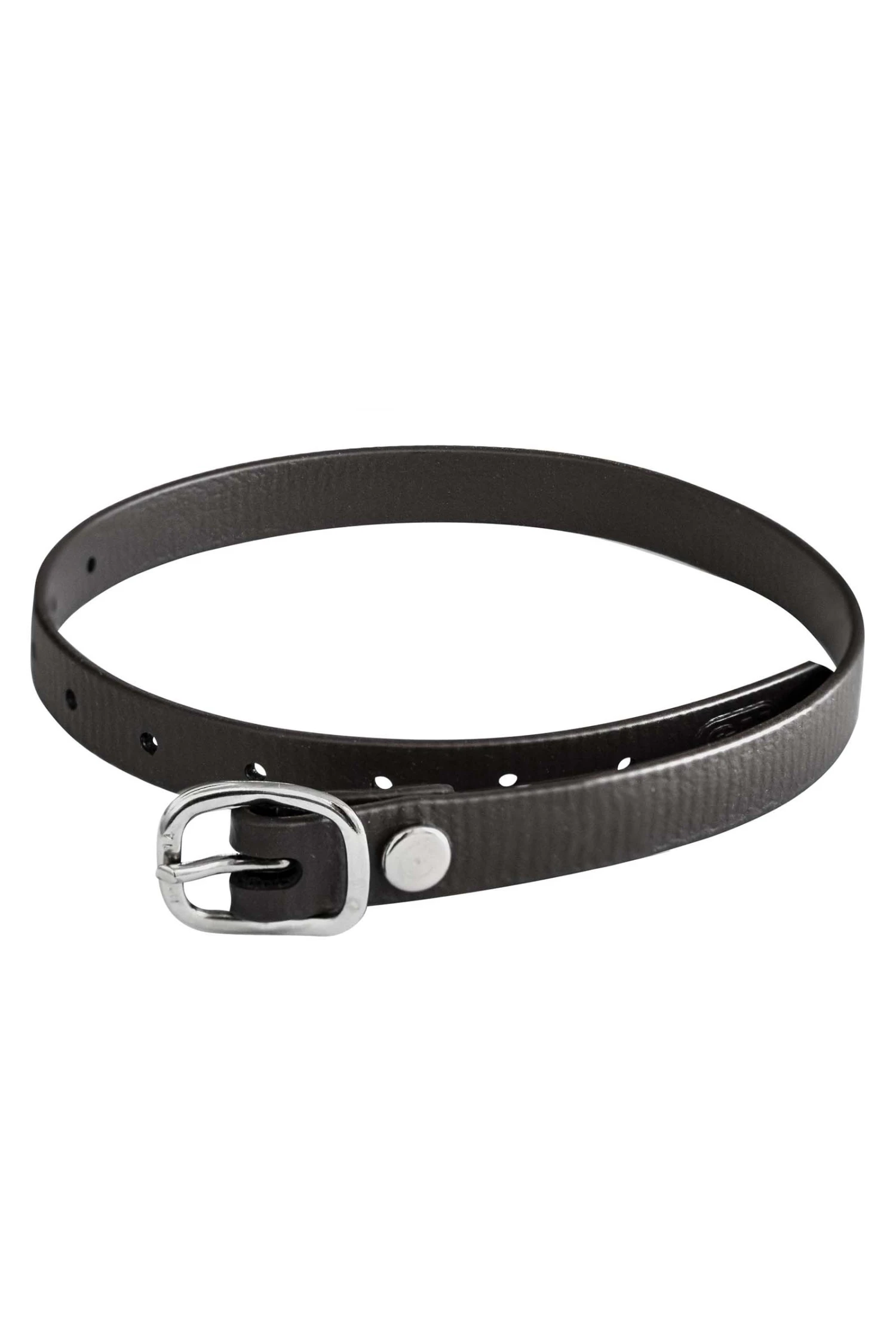 Sprenger Biothane Sporenriemen 1 Sprenger Biothane Sporenriemen