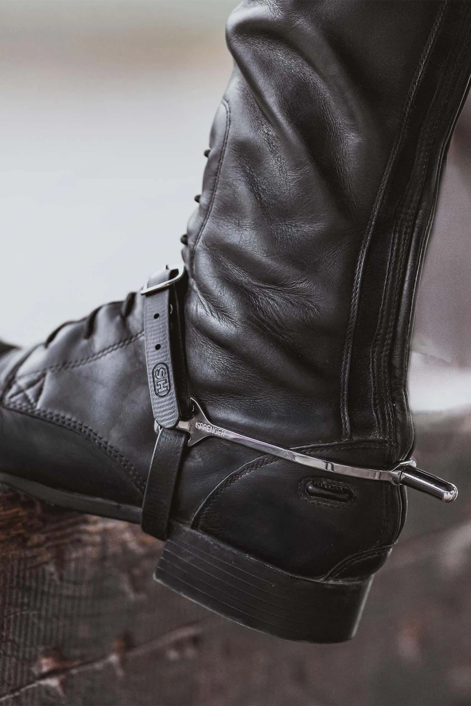 Sprenger Biothane Sporenriemen 3 Sprenger Biothane Sporenriemen – Bild 3