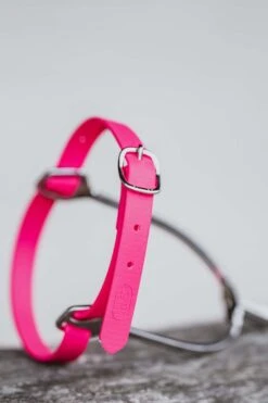 Sprenger Biothane Sporenriemen 24 Sprenger Biothane Sporenriemen -Cavallo Verkäufe 341299 PI 2