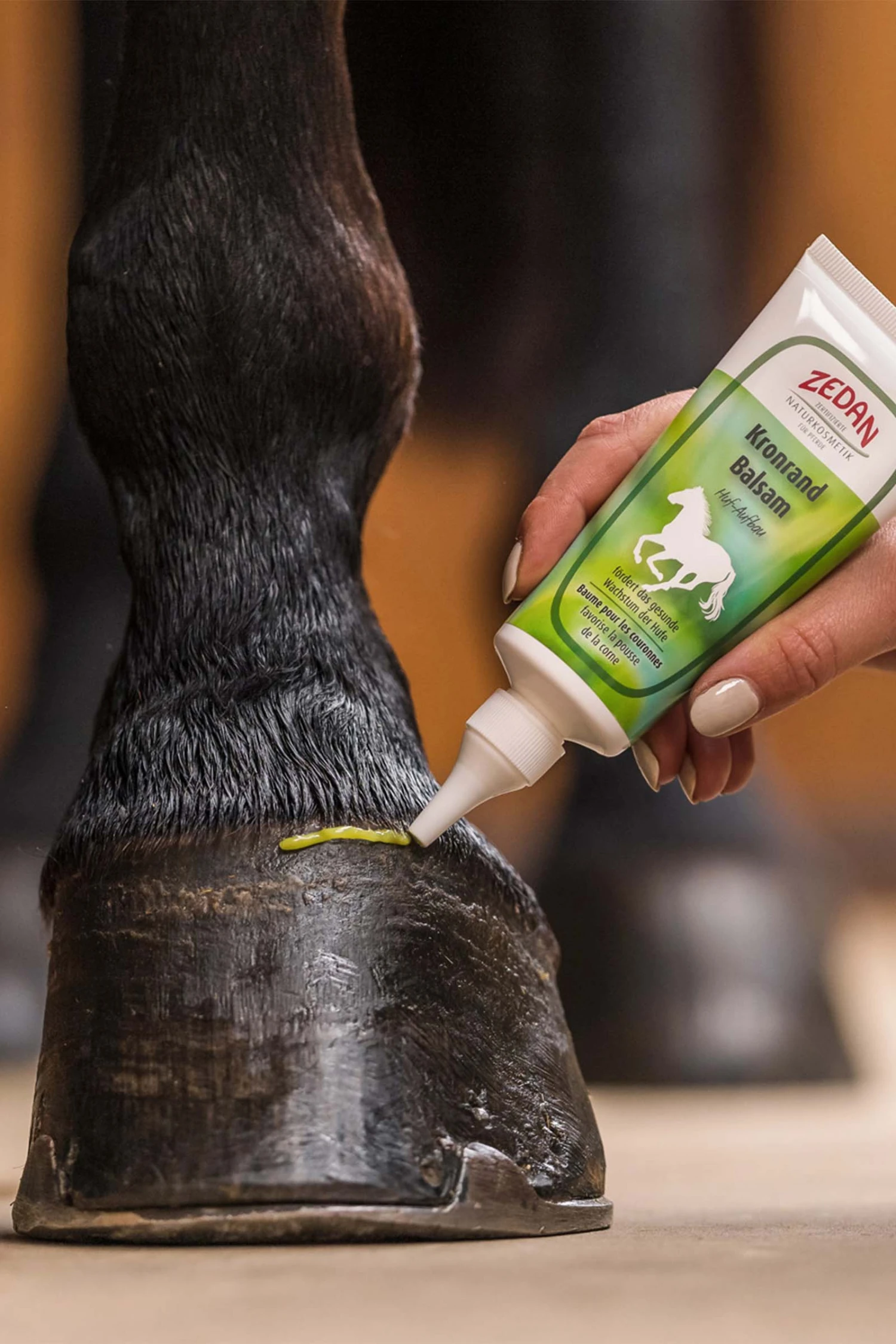 Zedan Kronrand Balsam Huf Aufbau, Hufe, 100ml 2 Zedan Kronrand Balsam Huf Aufbau, Hufe, 100ml – Bild 2