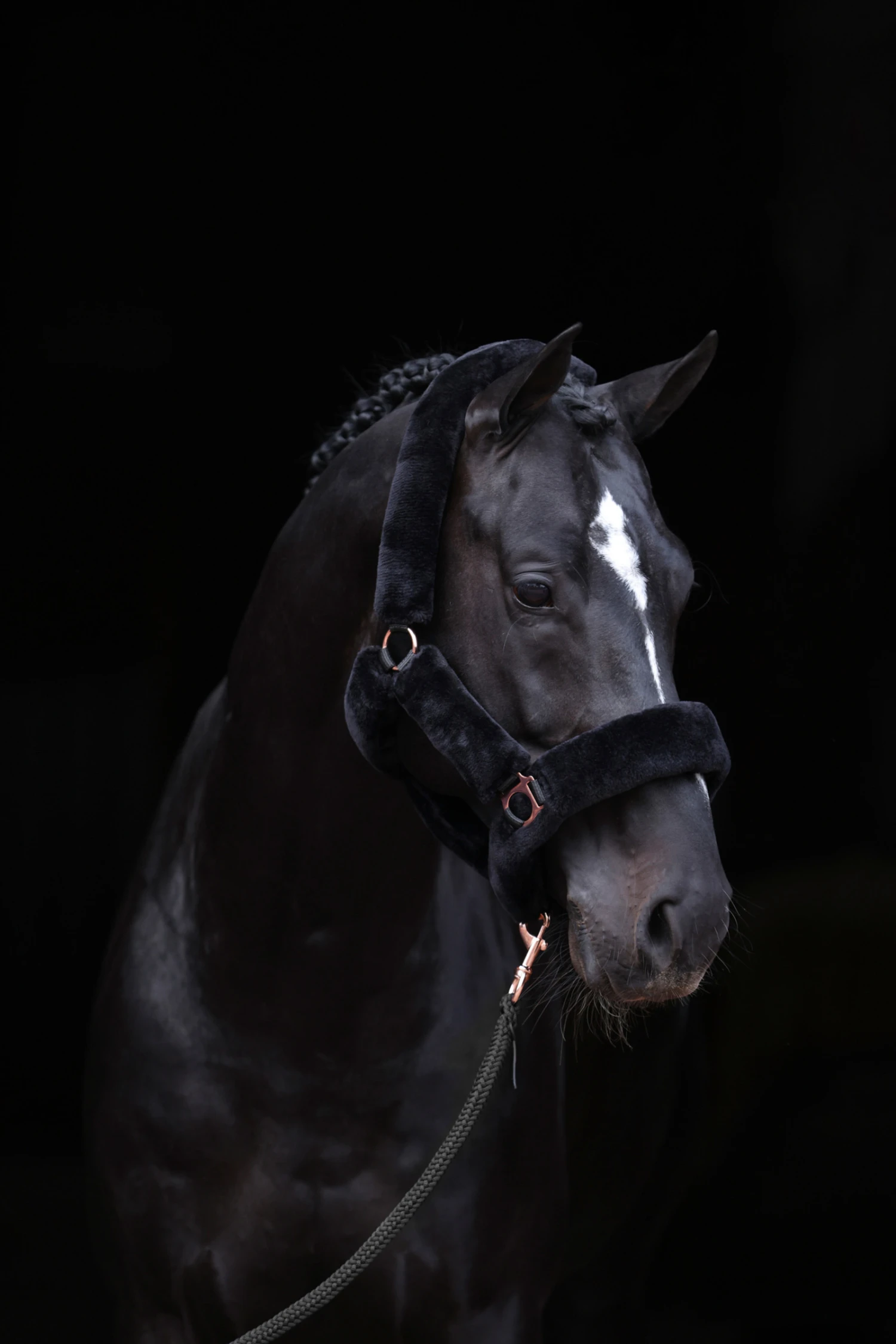 Covalliero SuperSoft Halfter 1 Covalliero SuperSoft Halfter