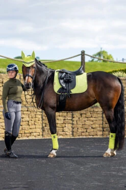 LeMieux Classic Fleece Bandagen -Cavallo Verkäufe 342145 SLGR 02