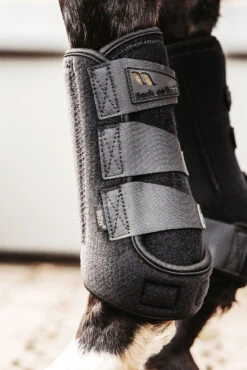 Back On Track Airflow Trainingsgamaschen -Cavallo Verkäufe 342173 BL 14