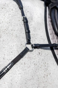 LeMieux Vorderzeug Mit Abnehmbarem Martingal -Cavallo Verkäufe 342208 BL 3