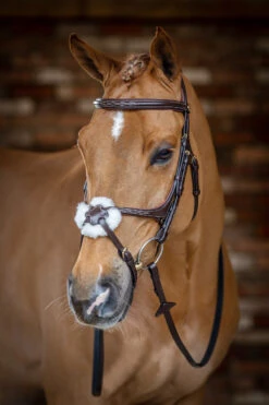 LeMieux Mexikanische Trense 11 LeMieux Mexikanische Trense -Cavallo Verkäufe 342214 HVBR 1