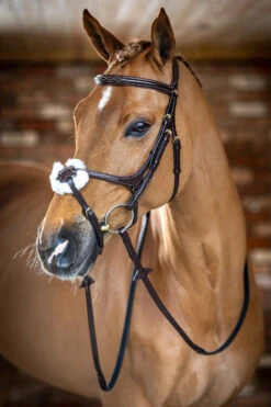 LeMieux Mexikanische Trense 12 LeMieux Mexikanische Trense -Cavallo Verkäufe 342214 HVBR 2