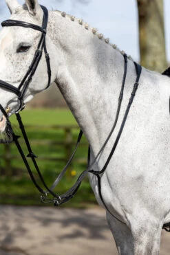 LeMieux Ringmartingal -Cavallo Verkäufe 342217 BL 1