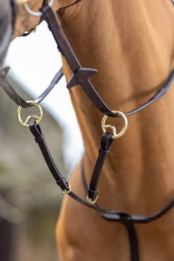 LeMieux Ringmartingal -Cavallo Verkäufe 342217 HVBR 2