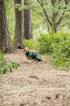 Back On Track Buddy Langer Hundemantel(28-44cm) -Cavallo Verkäufe 342238 GR 2