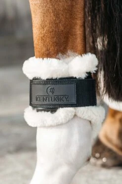 Kentucky Horsewear Vegane Lammfell Streichkappen Für Jungpferde 16 Kentucky Horsewear Vegane Lammfell Streichkappen Für Jungpferde -Cavallo Verkäufe 342512 BL 3