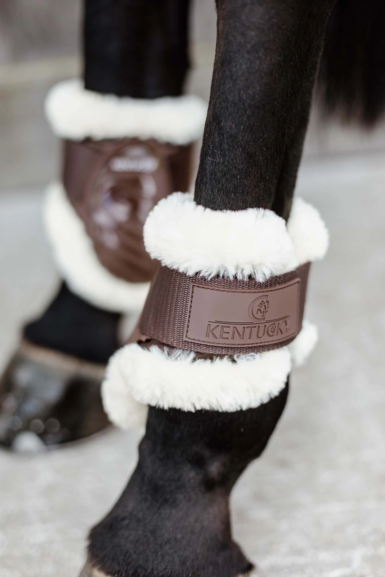 Kentucky Horsewear Vegane Lammfell Streichkappen Für Jungpferde 7 Kentucky Horsewear Vegane Lammfell Streichkappen Für Jungpferde – Bild 7