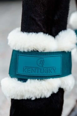 Kentucky Horsewear Vegane Lammfell Streichkappen Für Jungpferde 23 Kentucky Horsewear Vegane Lammfell Streichkappen Für Jungpferde -Cavallo Verkäufe 342512 EGR 2