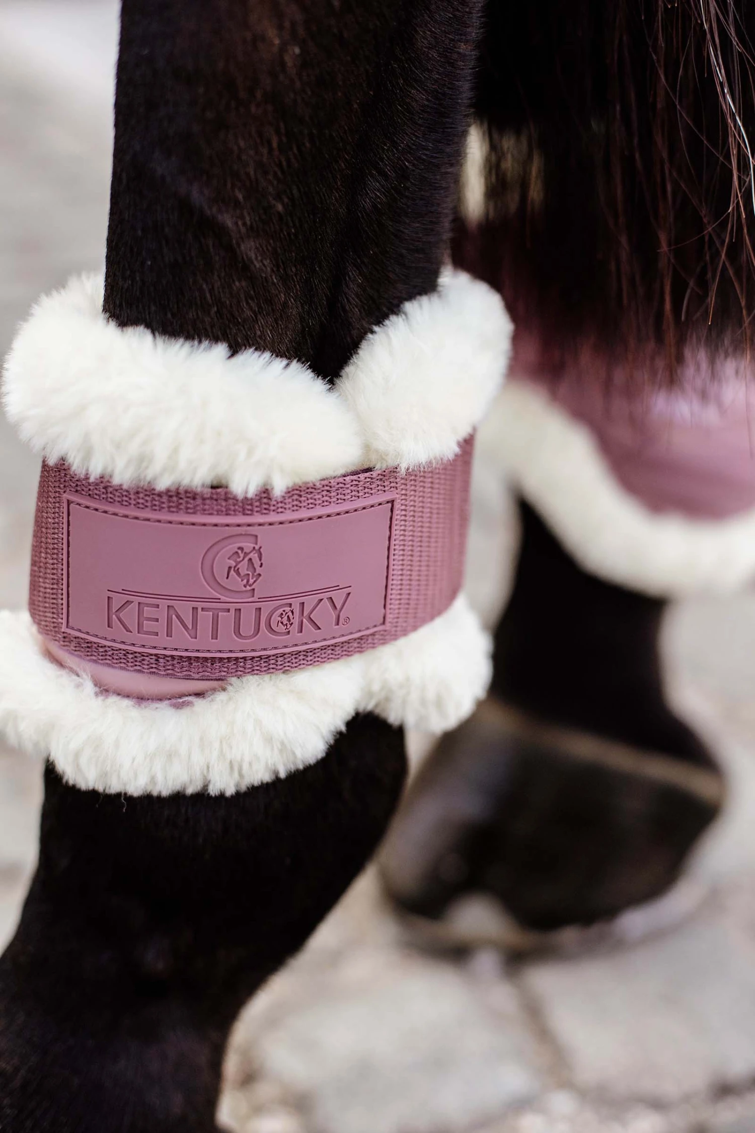 Kentucky Horsewear Vegane Lammfell Streichkappen Für Jungpferde 13 Kentucky Horsewear Vegane Lammfell Streichkappen Für Jungpferde – Bild 13