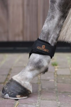 Kentucky Horsewear Jungpferde Streichkappe -Cavallo Verkäufe 342513 BL 3